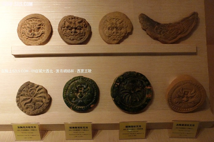 P1070551.jpg
