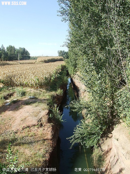 DSCF5988.jpg