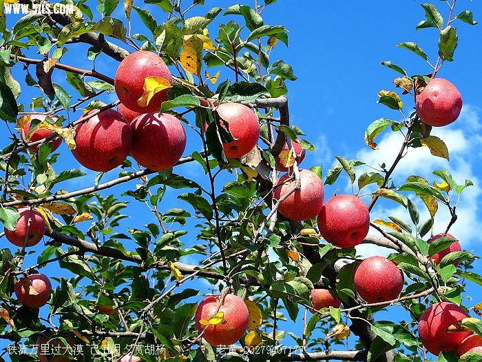 DSCF5905.jpg