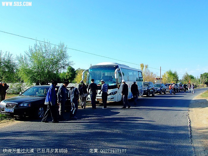 DSCF5954.jpg