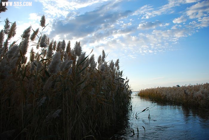 DSC_0086.JPG