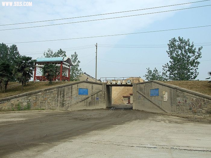 DSCF7219.jpg