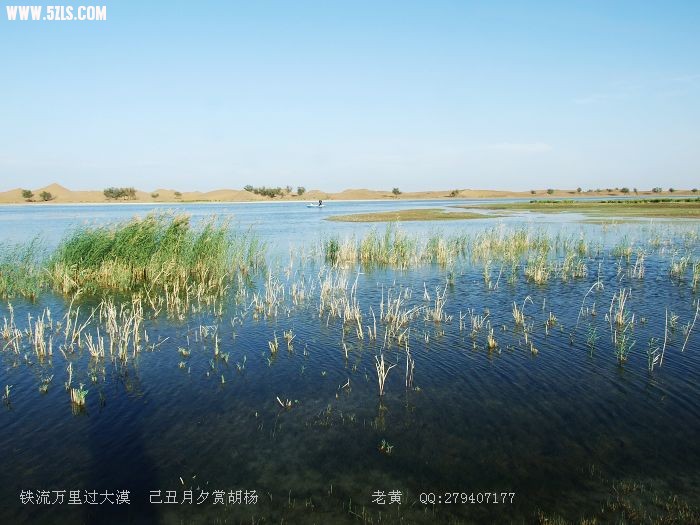 DSCF6210.jpg