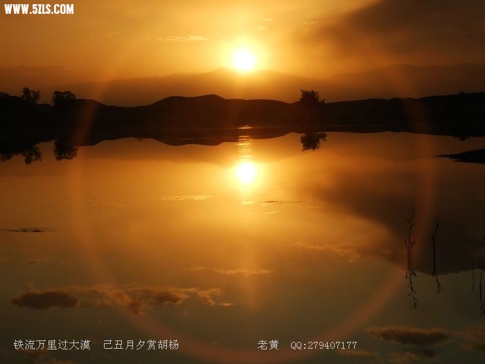 DSCF6324.jpg