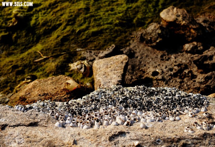 DSC_2248.jpg