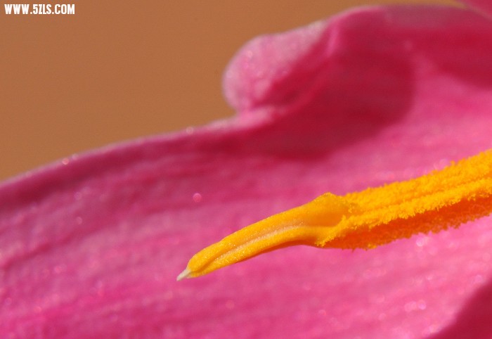 DSC_4168.jpg