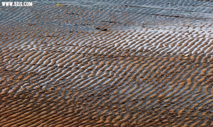 DSC_0162.jpg