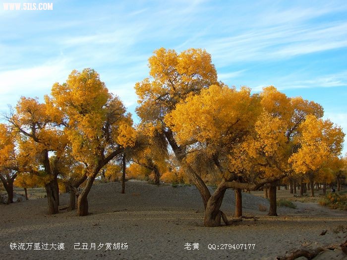 DSCF6674.jpg