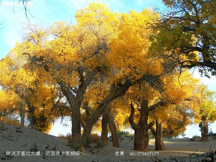 DSCF6695.jpg