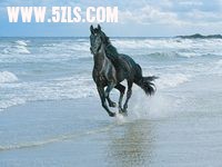 s-Webshots_18003.jpg