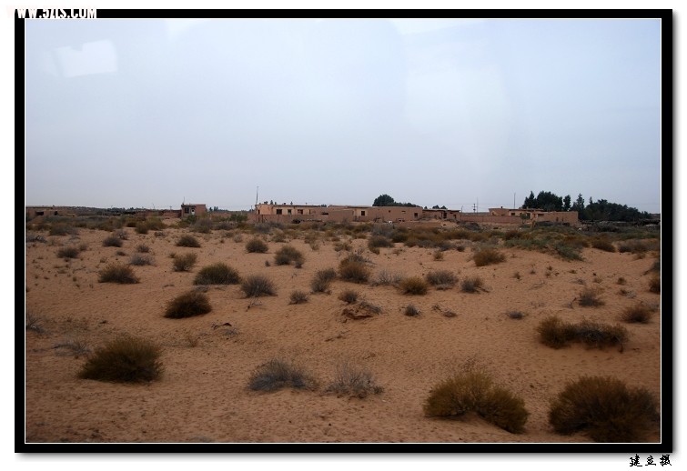 DSC_8809.jpg