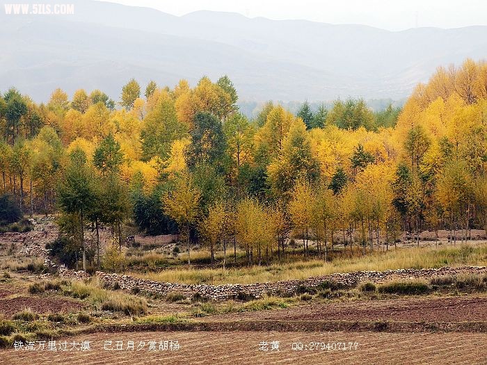 DSCF6916.jpg
