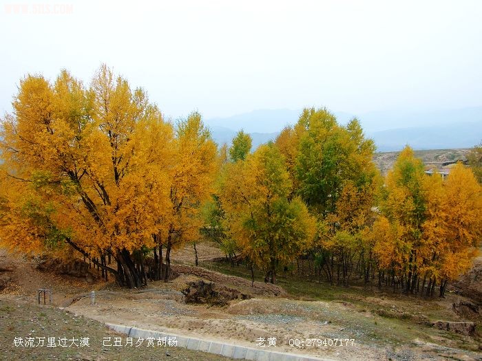DSCF6938.jpg
