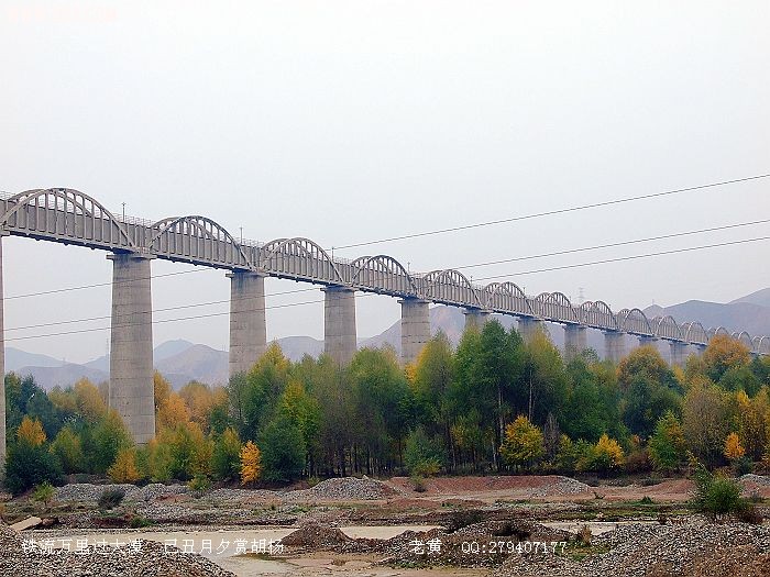DSCF6971.jpg