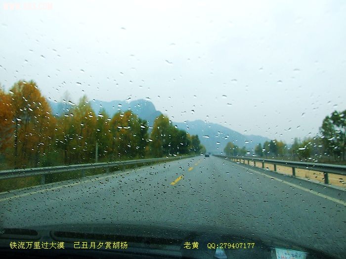 DSCF6969.jpg