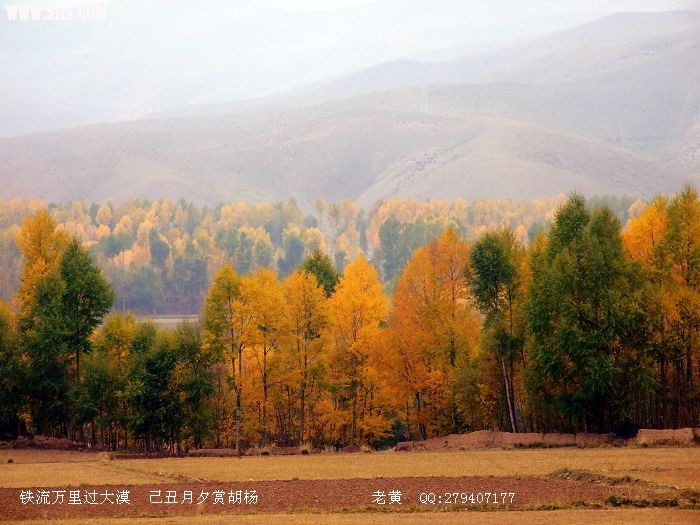 DSCF6922.jpg