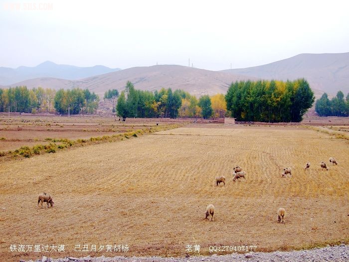 DSCF6884.jpg