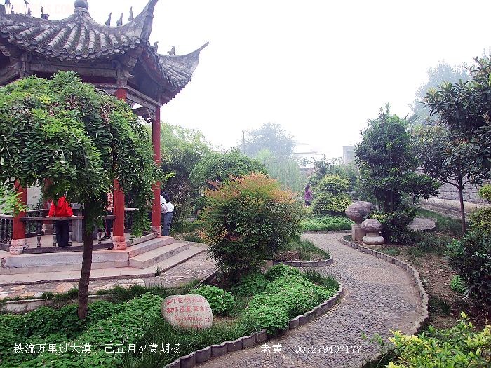 DSCF7051.jpg