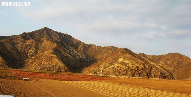 IMG_7561A.jpg