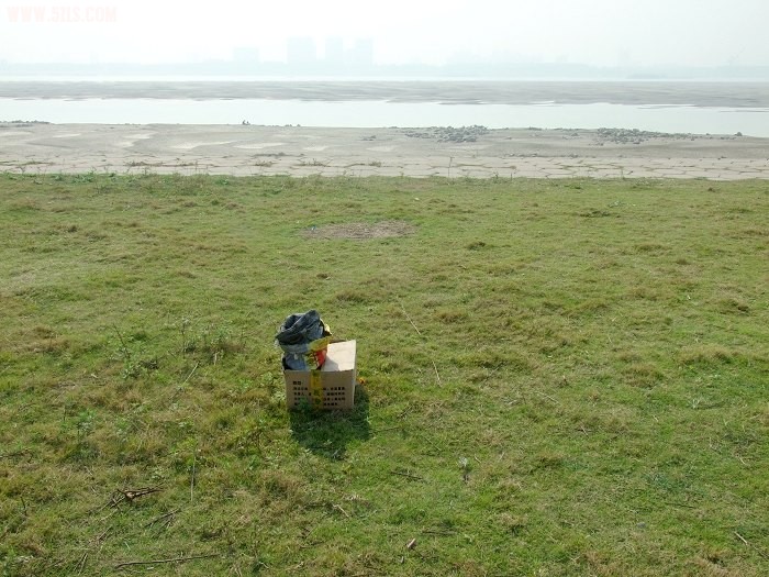 DSCF7469.jpg