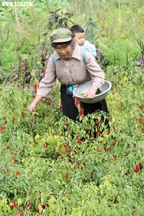 2009.10.1.ȥĴƬ 254.jpg