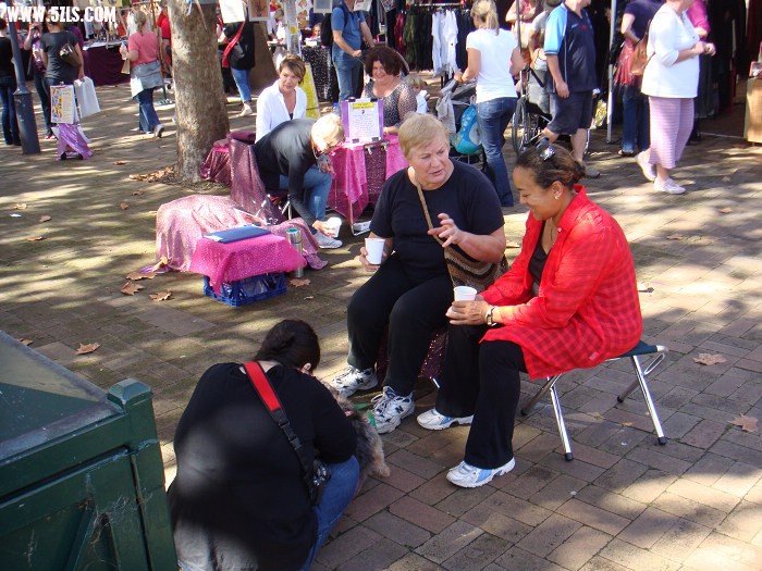 DSC01706.jpg