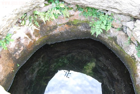 mcltg 069.jpg