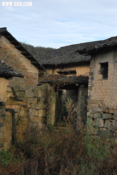 mcltg 073.jpg