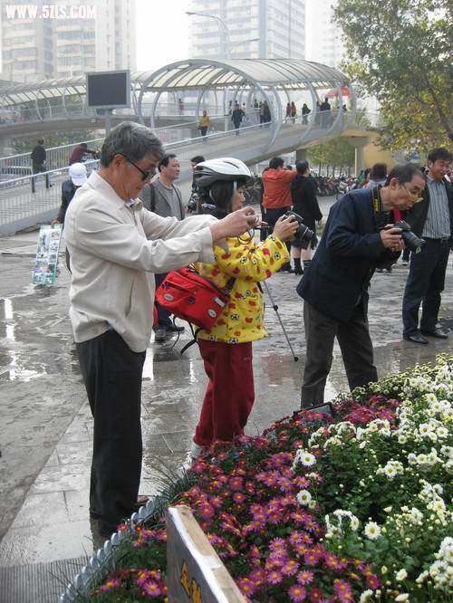 20091106 004.jpg