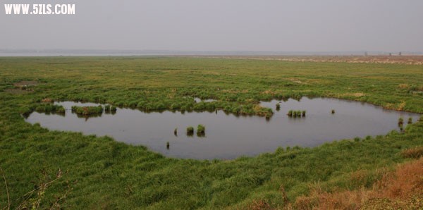 DSC_0063.jpg