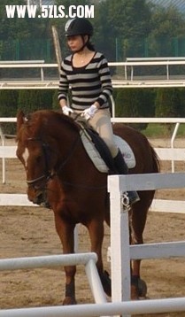 20091109142221ec8a35e48271d0dc7a3e7523b73ca485.jpg