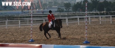 20091109144115aed18737cd7783e17ee4e7a3affb02f0.jpg