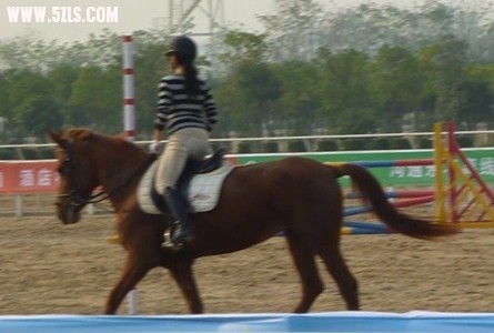 20091109143133a580e511e0f448e9371ef141547e13cc.jpg