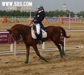 20091109135808bdf24ad33617c4ecf17e1fd216fda4fe.jpg