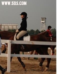 20091109144149de88cf3d961be68cfae2fce785d87c39.jpg