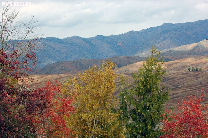 DSC_0275.jpg
