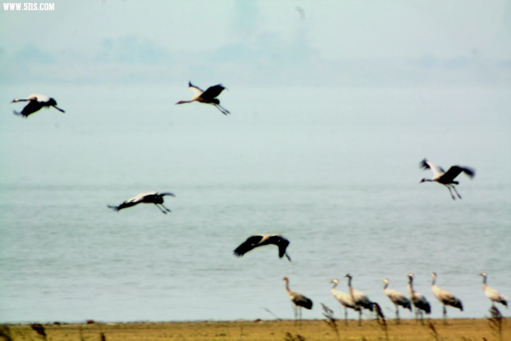 IMG_7412.JPG