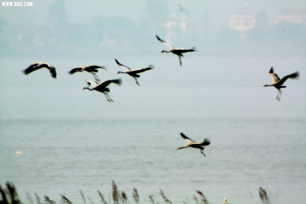 IMG_7414.JPG