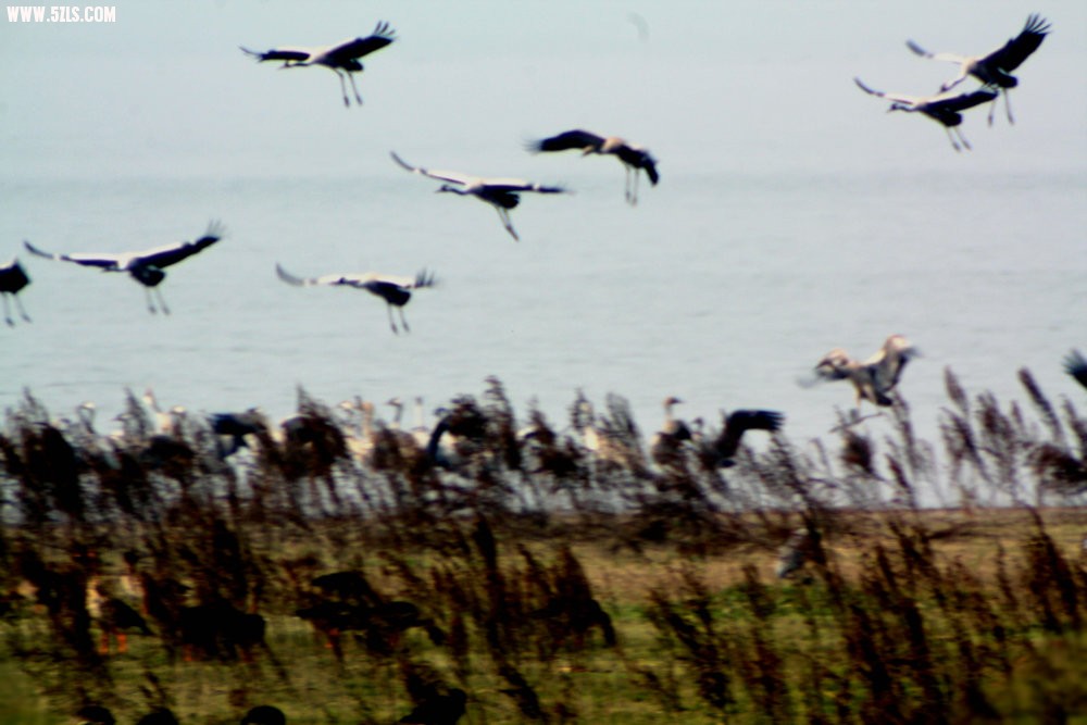IMG_7416.JPG
