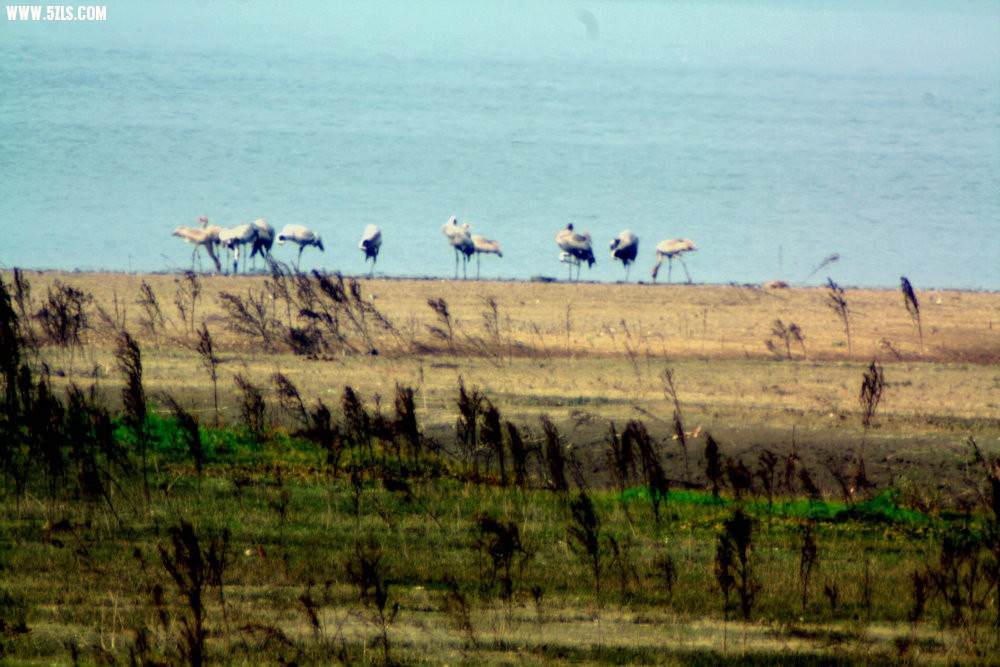 IMG_7366.JPG
