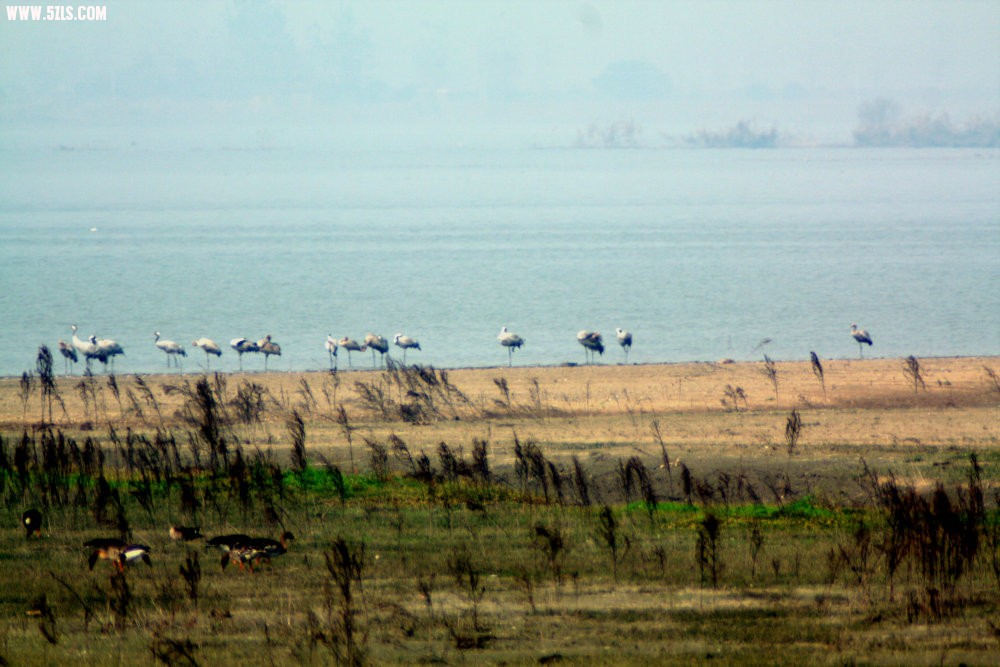 IMG_7377.JPG