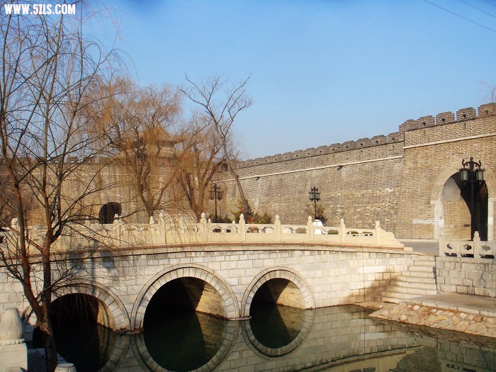 DSC03868.jpg