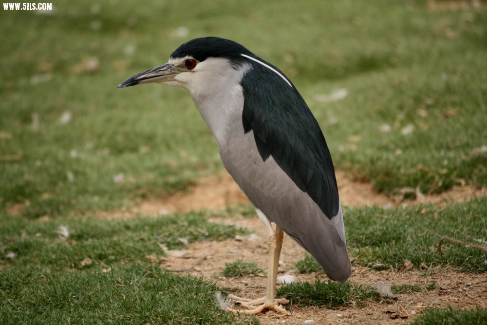 IMG_6543.JPG