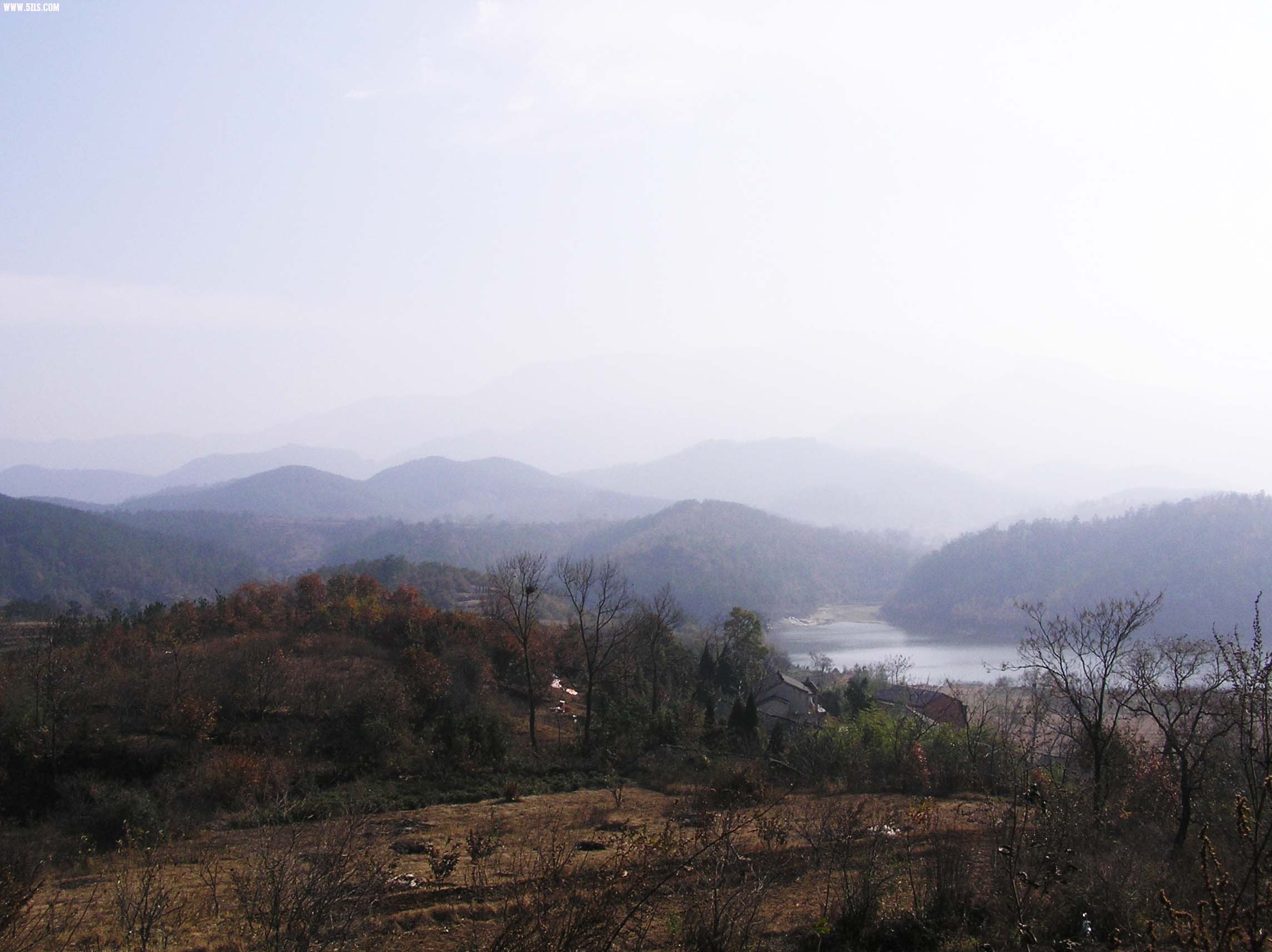 P1010056-1.jpg