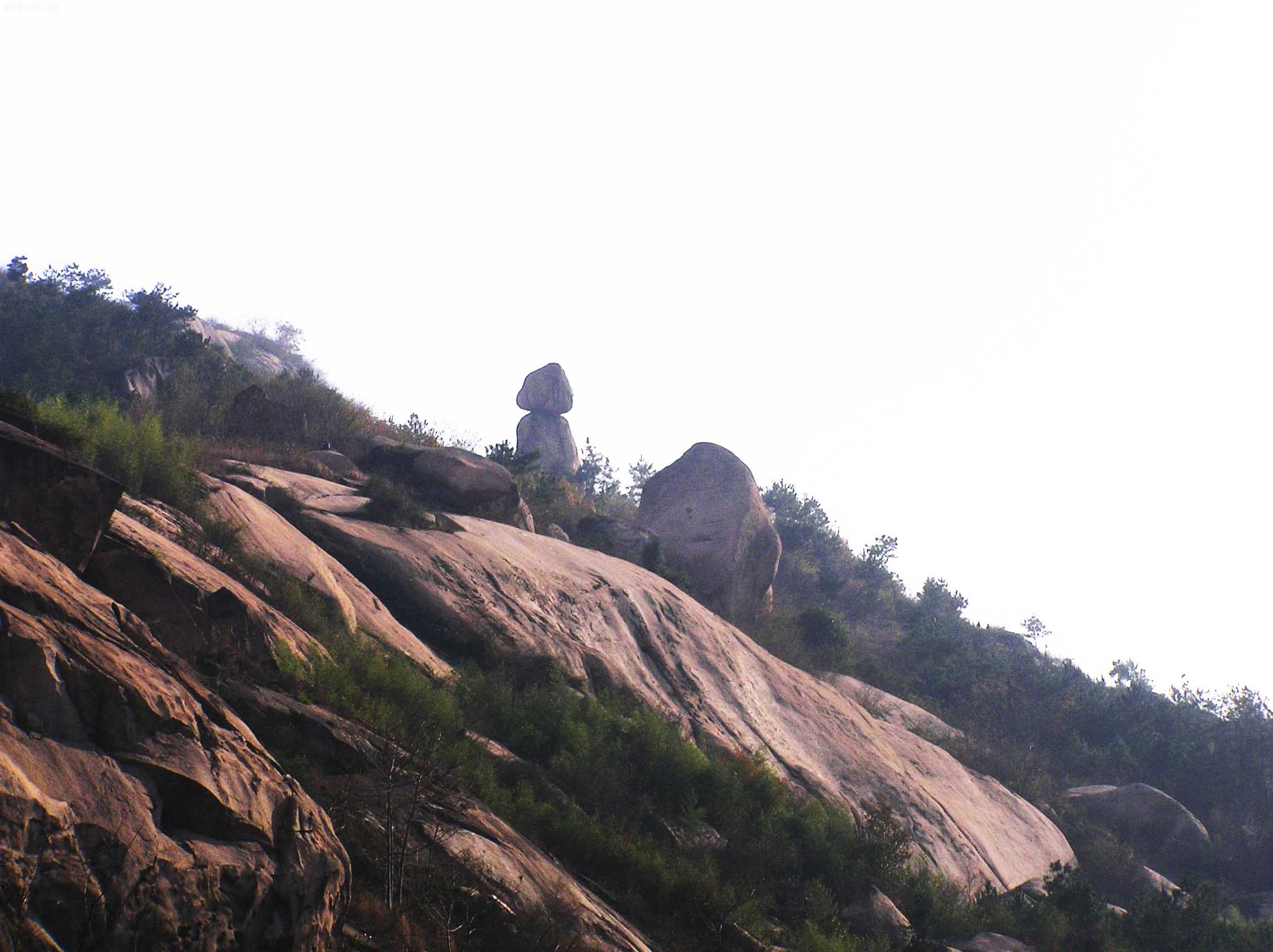 P1010078.JPG