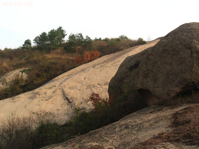 Ƭ 082.jpg