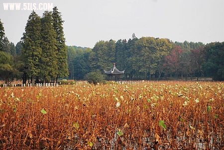 nEO_IMG_Ƭ 095.jpg
