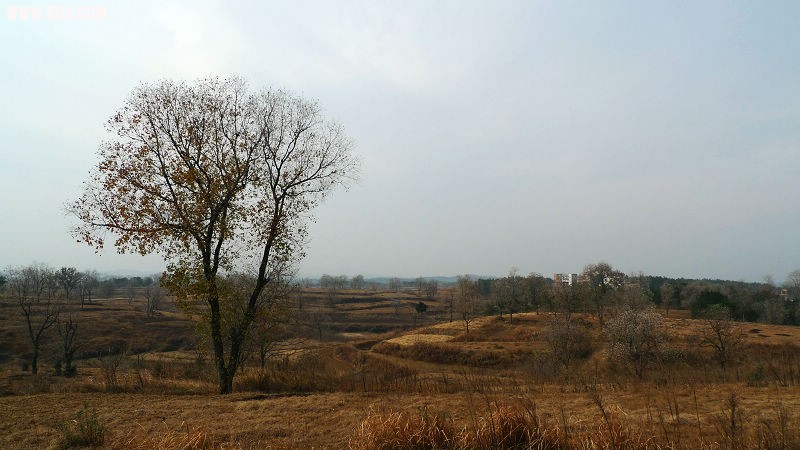 Ƭ 080.jpg