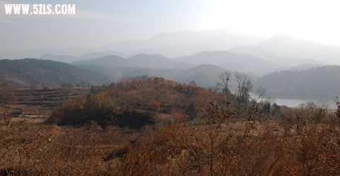 DSC_0004.jpg