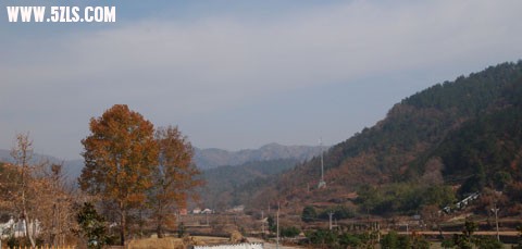 DSC_0009.jpg